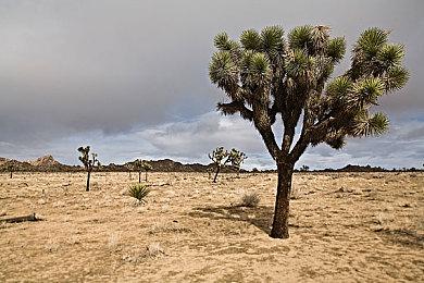 2023年迄今为止评分最高游戏TOP10只有一款是新作 重制作品占绝大多数