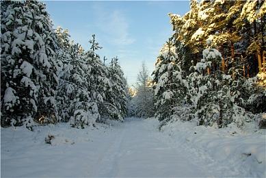 《沙石镇时光》PS5＆Switch亚洲实体版延期