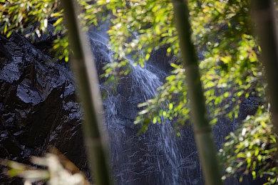 《消逝的光芒2》开发商称赞腾讯：了不起的合作伙伴